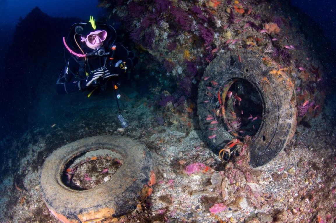 Nuestra ciudad participó en la limpieza del entorno marino